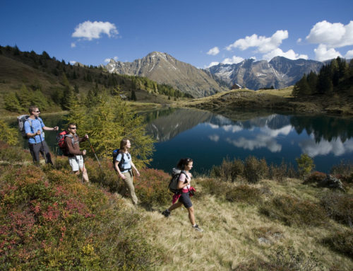 OFFER – 7 days including alpine snack & mountain lake experience